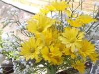 新田信芯園農莊