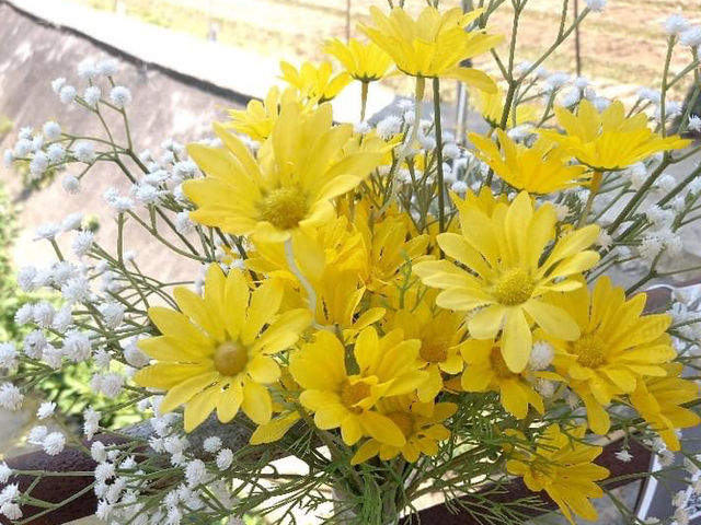 新田信芯園農莊