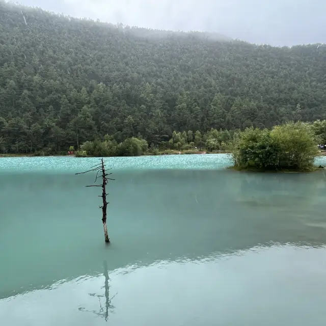 Luscious Turquoise Lake in Lijiang 