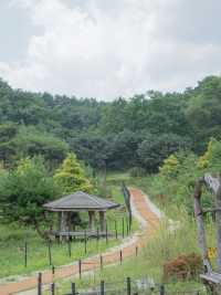 귀여운 동물에게 먹이도 줄 수 있는 산들소리 수목원🌿