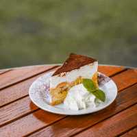 คาเฟ่โพรงกระต่าย เขาใหญ่ • Rabbit Cafe •