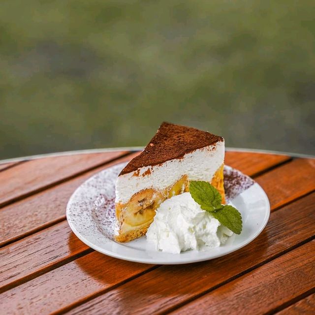 คาเฟ่โพรงกระต่าย เขาใหญ่ • Rabbit Cafe •