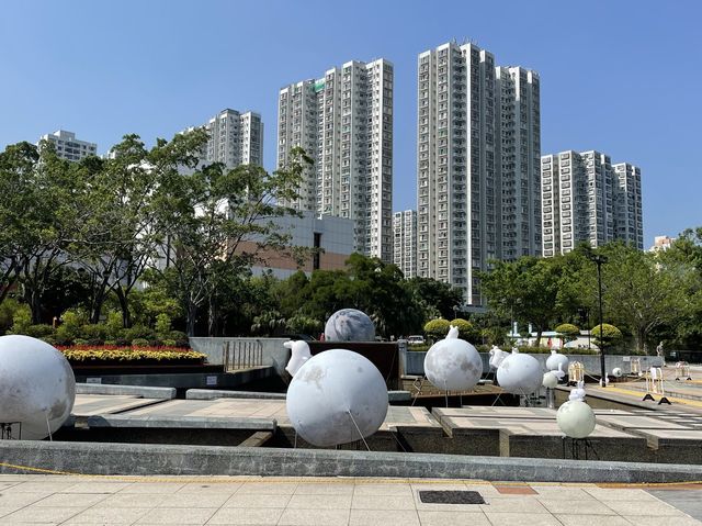 沙田景點-沙田公園
