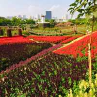Flower Valley Tay Ho