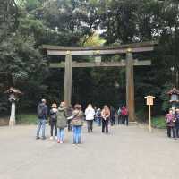 東京裡的聖地神宮⛩遼闊綠地森林一起來淨化心靈吧☺️