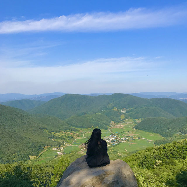 [경북/경주]경주에서 인생샷과 피크닉을 한 번에!❣️