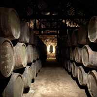 포르투여행 필수코스, 포트와인 투어는 꼭 해주세요🍷🇵🇹