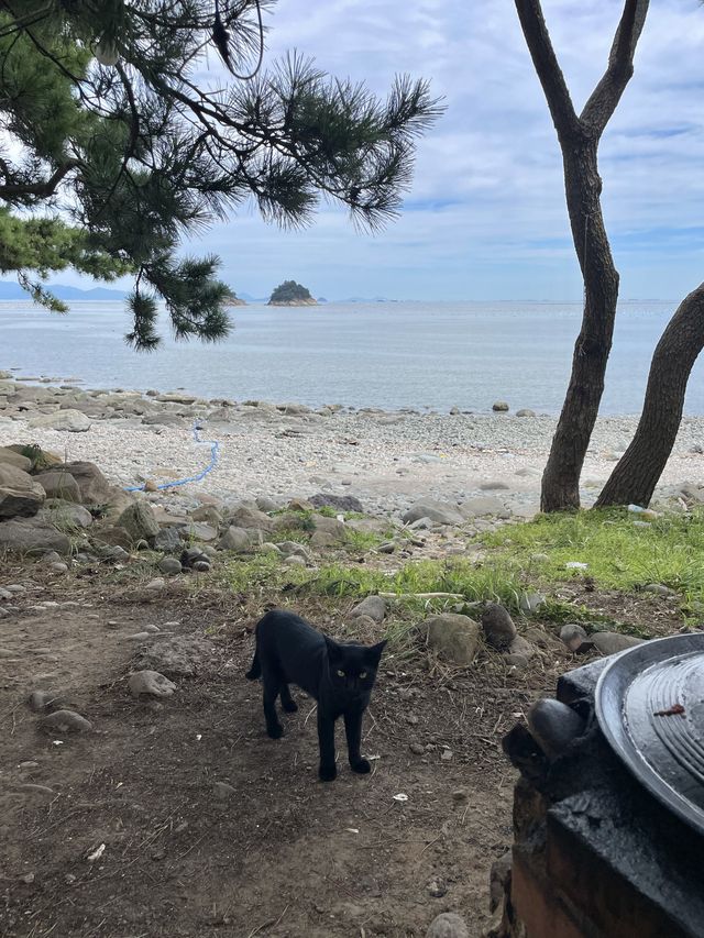 바다 바라보며 고기 먹기 성공! 여수 오션뷰 맛집 추천⛱️