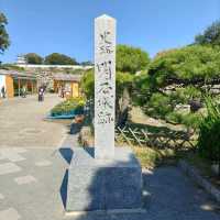 兵庫県！明石の菊花展覧会は素晴らしい