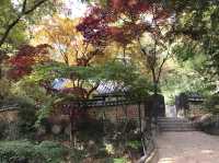 シャッターを押せば全てが美しく写る吉祥寺