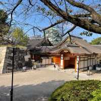 名古屋観光といえば『名古屋城』