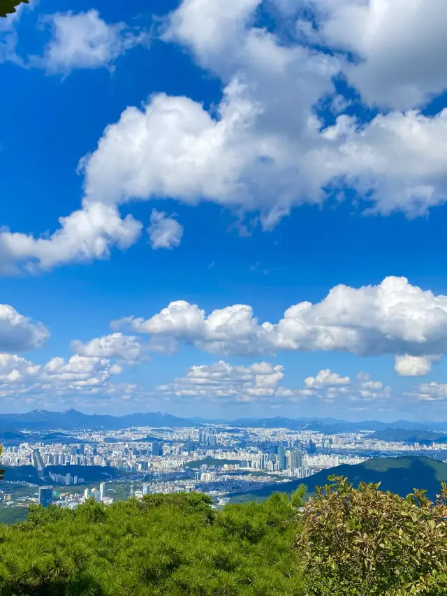 등린이 입문으로 추천하는 청계산⛰