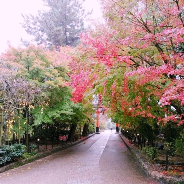 日本最古の神社　世界遺産　宇治上神社