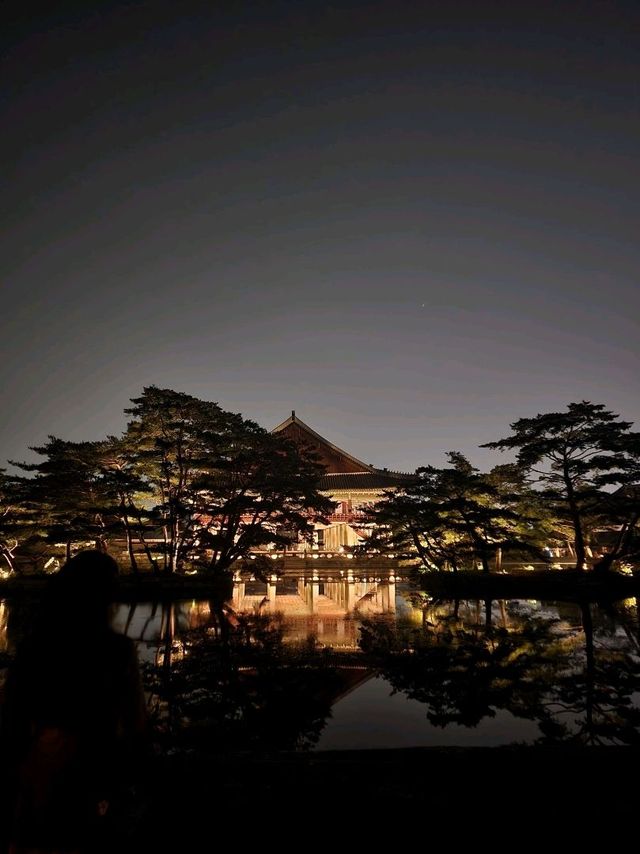 달밤의 고궁나들이🌃 경복궁 야간개장!