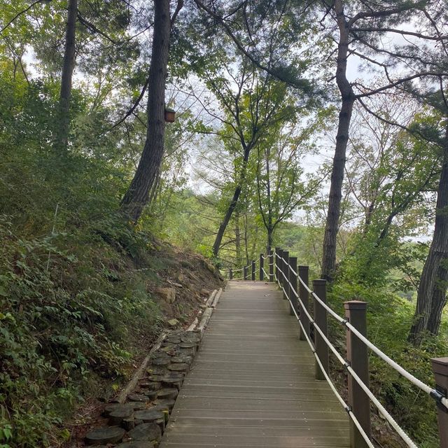 아이들과 가기 좋은 동화마을 수목원💚