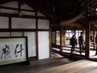 東福寺 · 紅葉