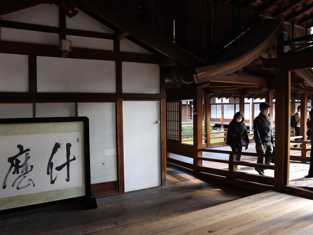 東福寺 · 紅葉
