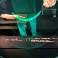 恐龍展
