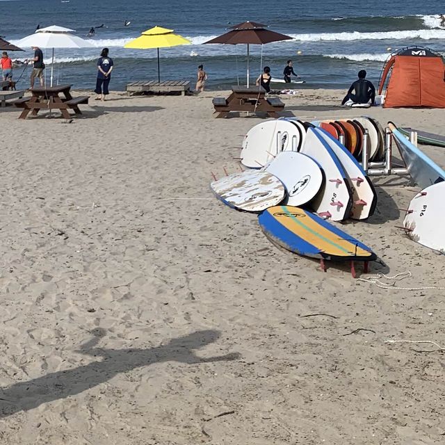 파도타기 명소 설악해수욕장 여름 최고 물놀이 장소🌊