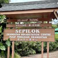 Sepilok Orangutan Rehabilitation Centre