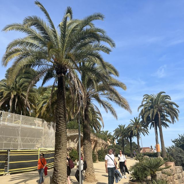 가우디의 도시, 바르셀로나 여행 🇪🇸