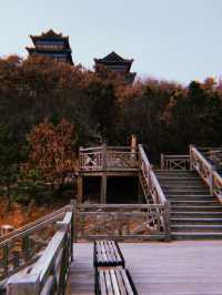 Lantau Peak Yantai 