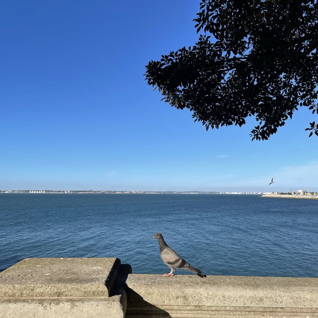 [Europe][Spain] Cadiz: Sunshine, Sea, and Seafood