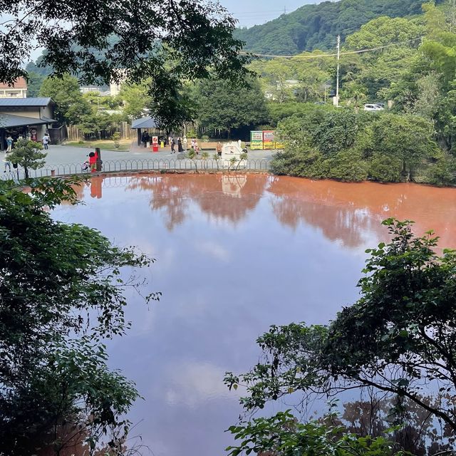 Enjoy with colourful hot springs 🌸