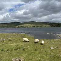 Camping at Loch Doon 🏴󠁧󠁢󠁳󠁣󠁴󠁿