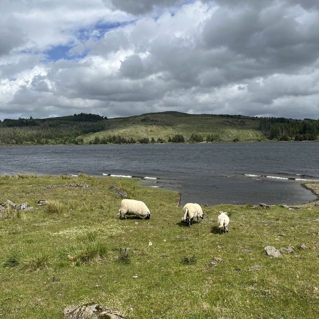 Camping at Loch Doon 🏴󠁧󠁢󠁳󠁣󠁴󠁿