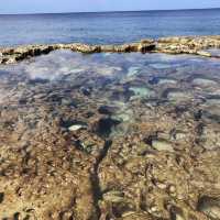 海軍棒プール　南大東島