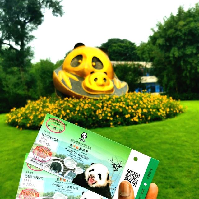 Giant Panda Research Base in Chengdu