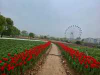 Mafan Agricultural Wonderland - Spring Time!