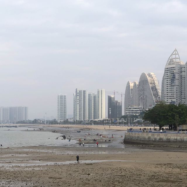 坐位在海灘嘅甜甜圈！我自諗在大家要黎見識下啦！