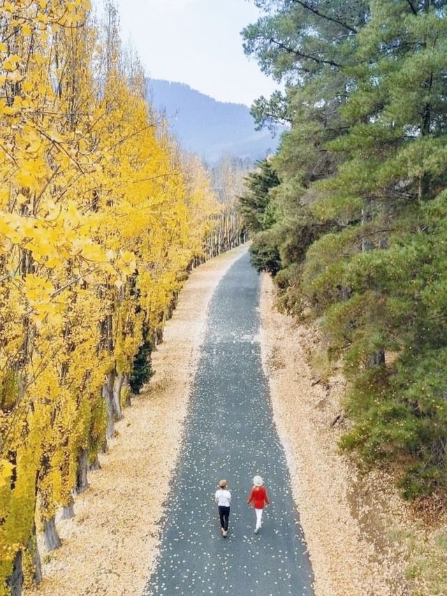 "World's Best Travel Destination" Tasmania is truly beautiful.