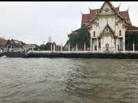 Giant Creature Fear - Thailand's Catfish Temple