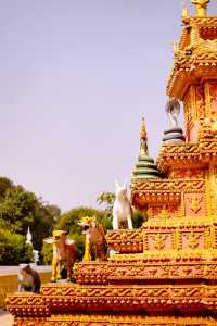 Gorgeous and prominent colors are combined with sculptures that we consider exaggerated.