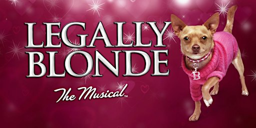 Millfield Performing Arts - Legally Blonde The Musical | The Meyer Theatre