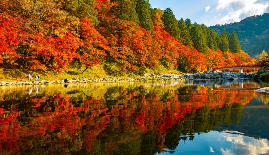 【2024日本楓葉季】名古屋人氣賞楓景點推介：鶴舞公園、東山植物園、白鳥庭園 | 名古屋