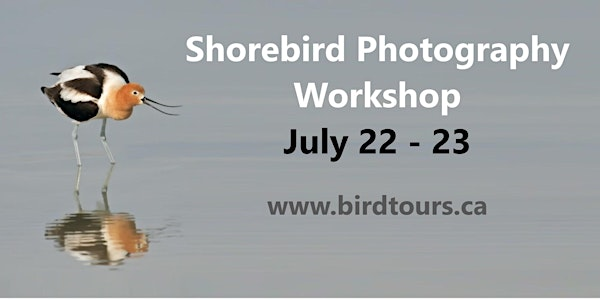 Shorebird Photography Workshop Tour | Venice House Traditional Grill