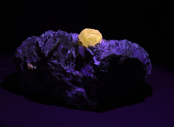 A Marvelous Night of Minerals: An ‘Earthly Matters’ Opening Celebration | Science History Institute