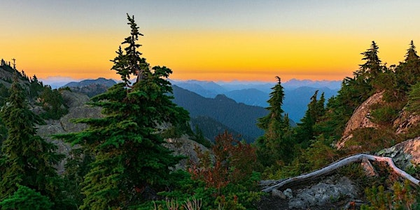 Brews & Views - Hosted by North Shore Greens | North Point Brewing Co