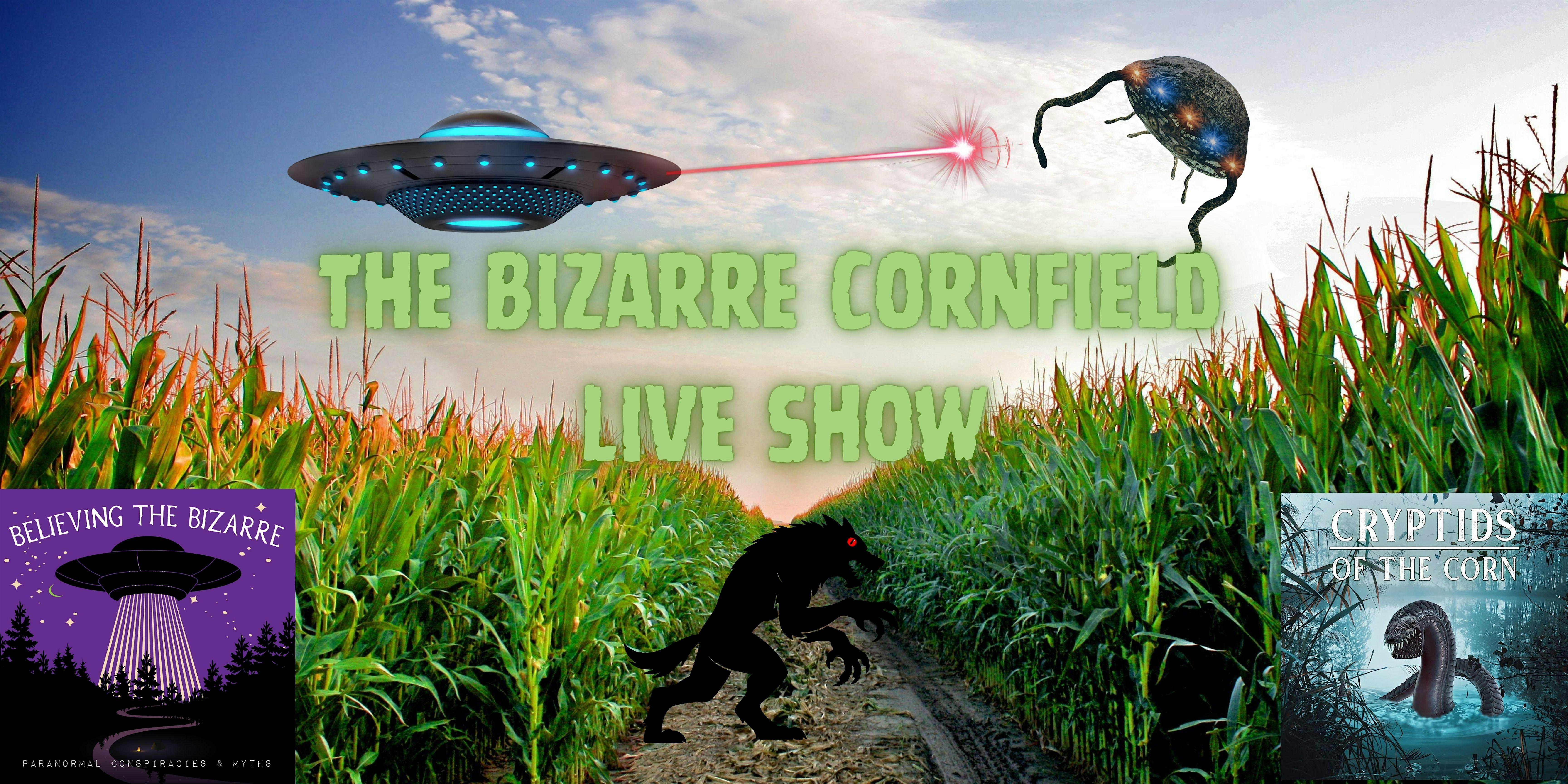 The Bizarre Cornfield! Podcast Live Show | The Inn