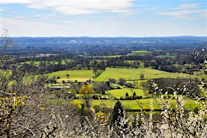 Walk Tonbridge Club: One Tree Hill to Shipbourne (circular) | One Tree Hill Car Park