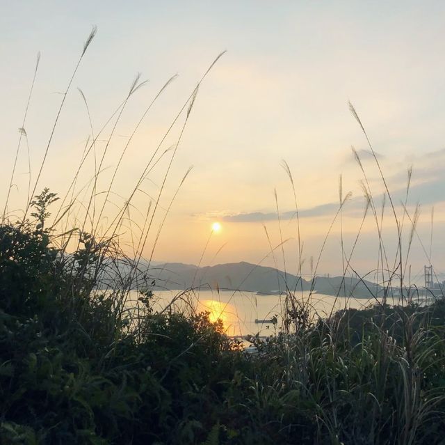 青衣自然教育徑睇日落