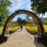 น้ำตกตาดร้อยครัว (Green Jungle Park)