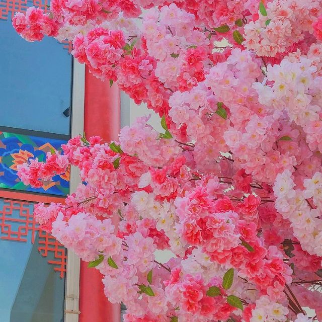 인천 차이나타운 카페, 채널 트웰브