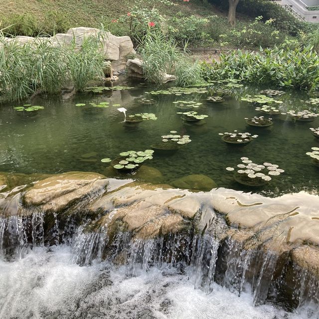 港島中的城市綠洲
