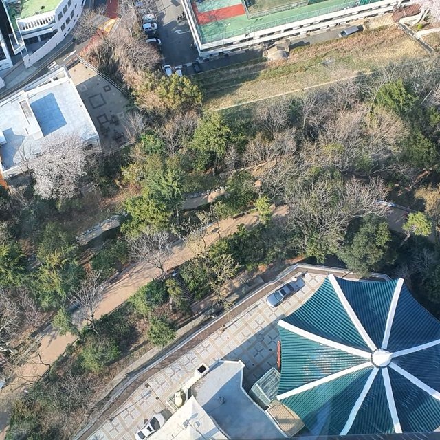 부산타워가 부산다이아몬드타워로 리뉴얼