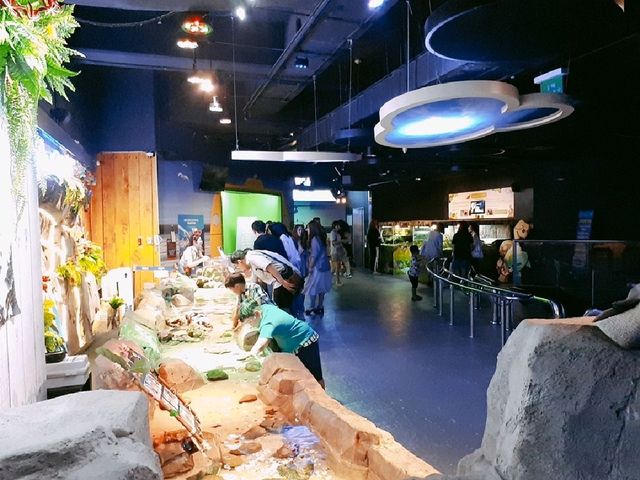 부산 데이트코스, SEA LIFE 아쿠아리움